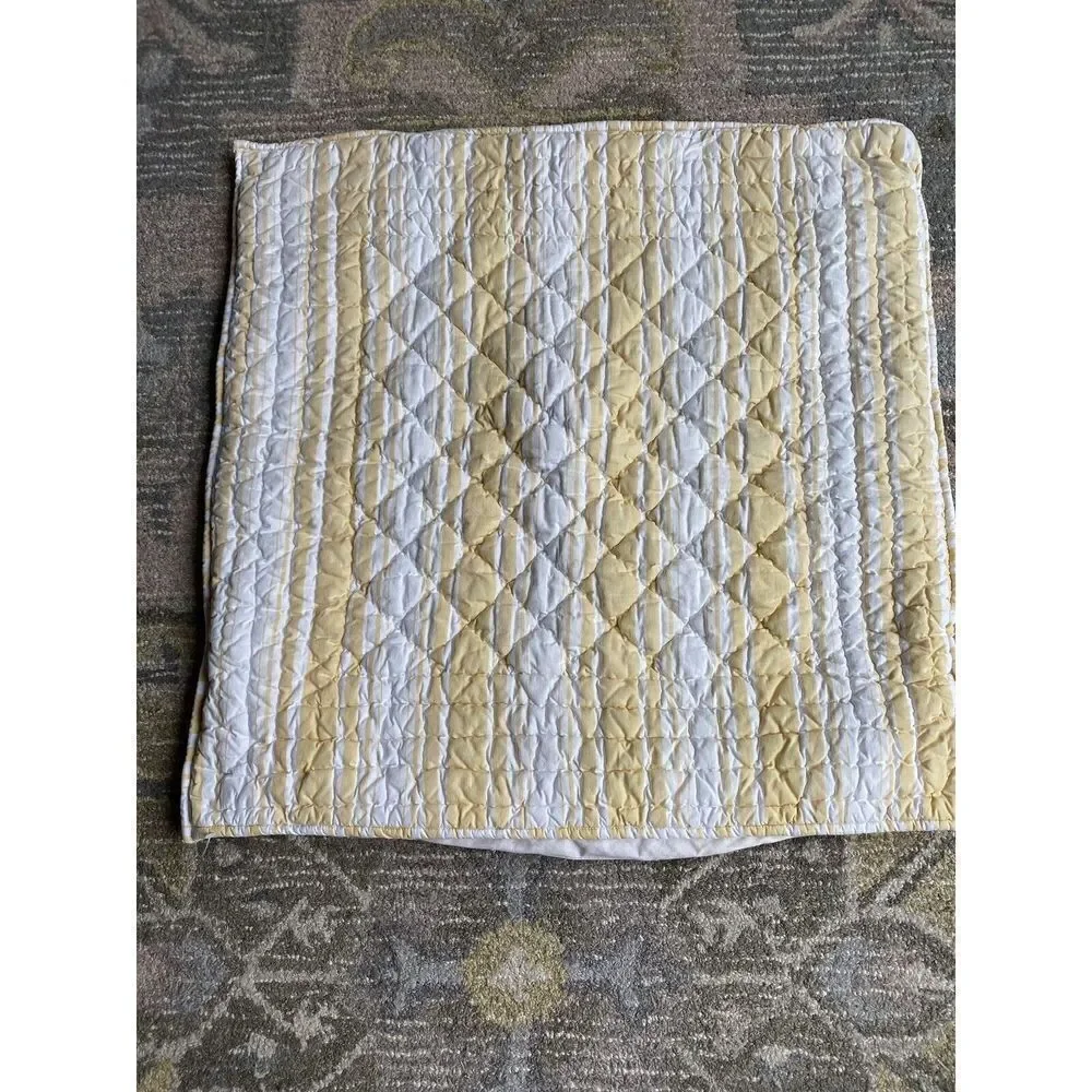 Restoration Hardware Paisley Striped Oversized Pillow Cushion Cover
